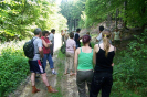 provodov2007_2