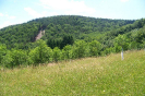 provodov2007_4