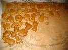 Advent na faře s pečením perníčků 2008.