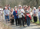 krizova2009_6