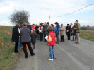 krizova2010_11