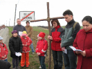 krizova2010_5