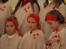 lidecko2010_7