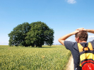 pesivelehrad2013_6