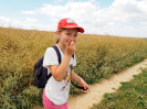 pesivelehrad2016_14