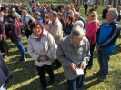 antonicek2019_13